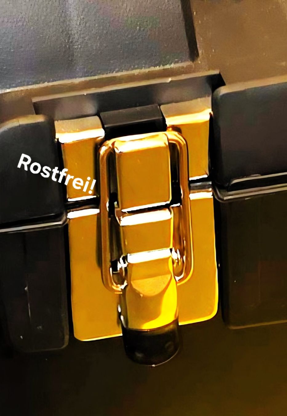 Rollbretter: Wekzeugtrolley – Gebraucht aus Abtwil SG von Petersb 1