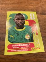Panini Sen 8