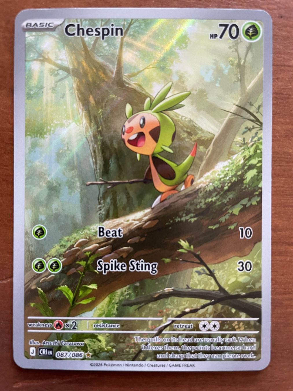 Pokémon Carte collezionabili: Pokemon Chespin (Versand gratis) – Nuovo (secondo la descrizione) da Chur venduto da Angerson