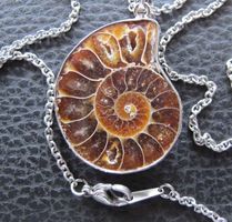 Anhänger Ammonit Fossil mit Kette