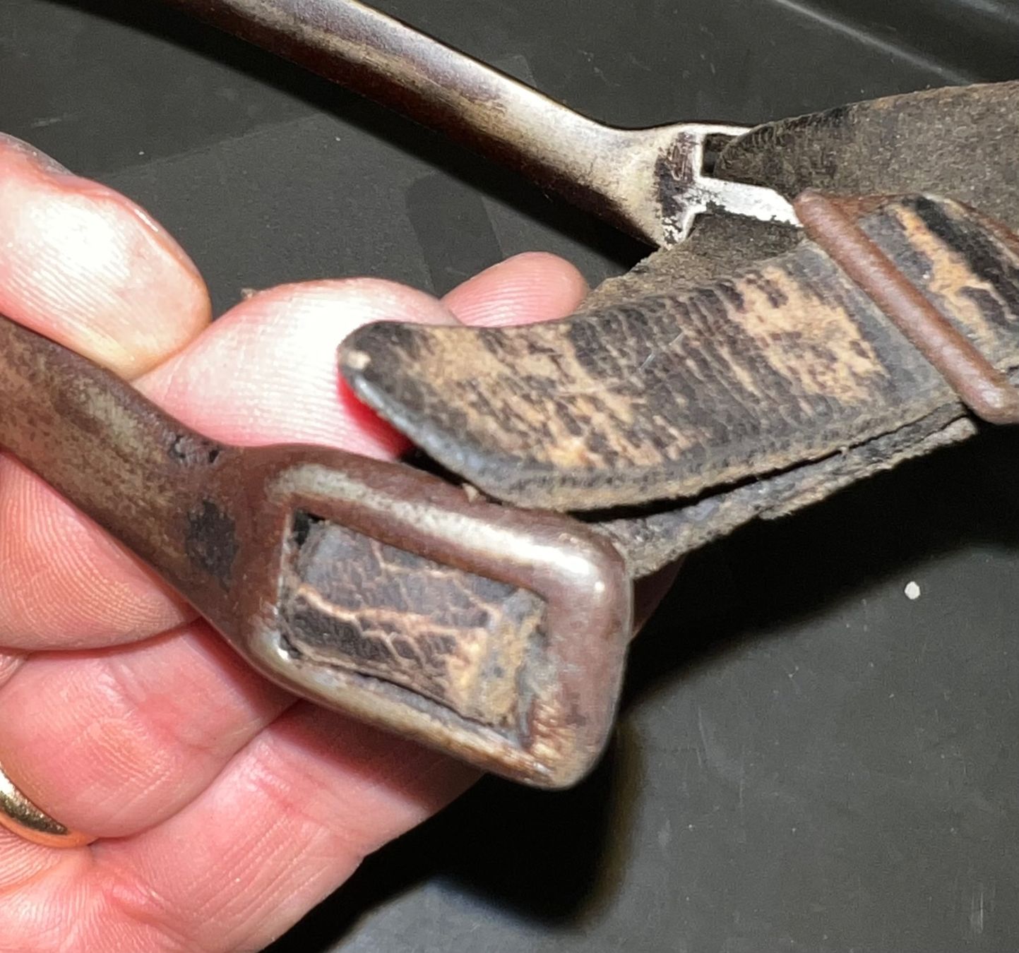 Sattel & Sattelzubehör: eperon cheval  Eperon Pferd – Gebraucht aus Nyon von 65d45 3