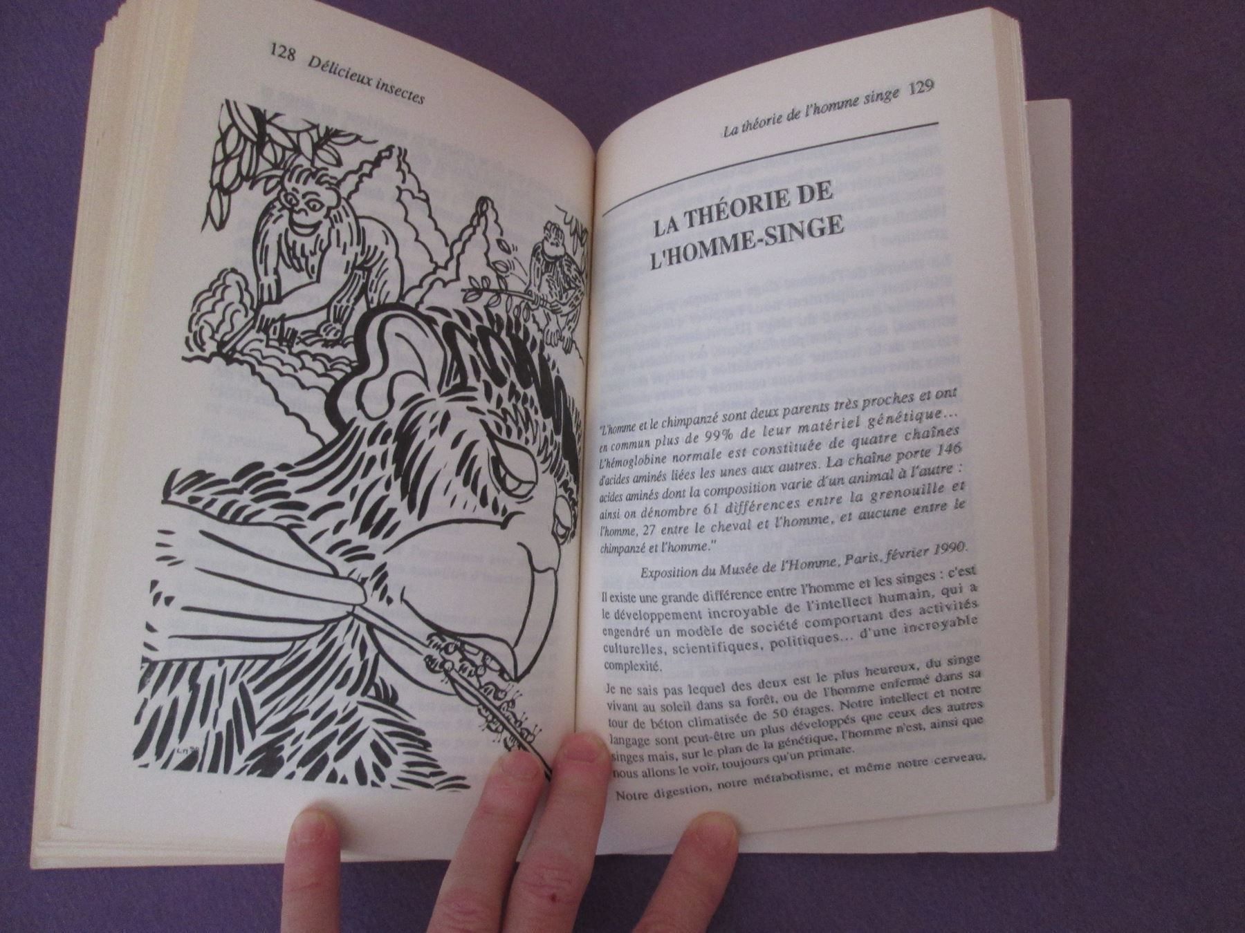 Libri: Délicieux insectes – Usato da Neuchâtel venduto da Dualseele 9