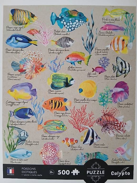Puzzle: Puzzle poissons 500 pieces – Usato da Préverenges venduto da mel_k6bd