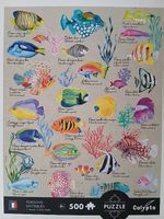 Puzzle poissons 500 pieces