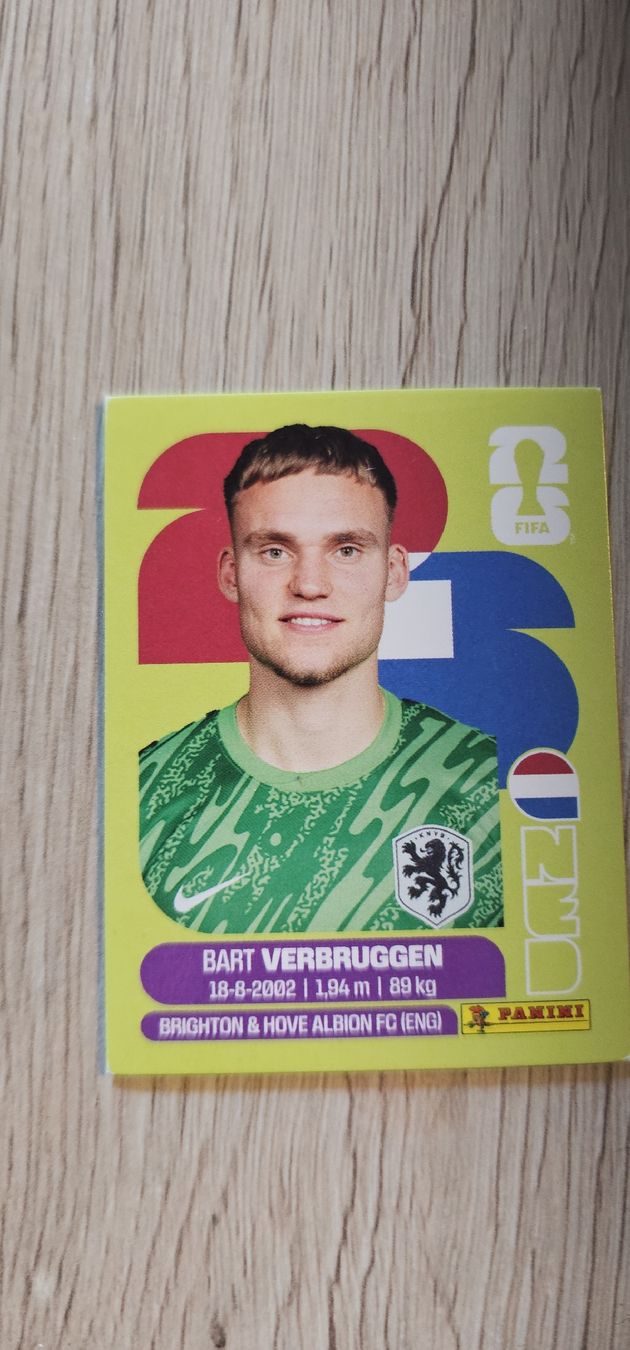 Panini Cartes à collectionner: Fifa World Cup Panini NED 2 – Neuf avec emballage d'origine à Biel VS par volcom8702
