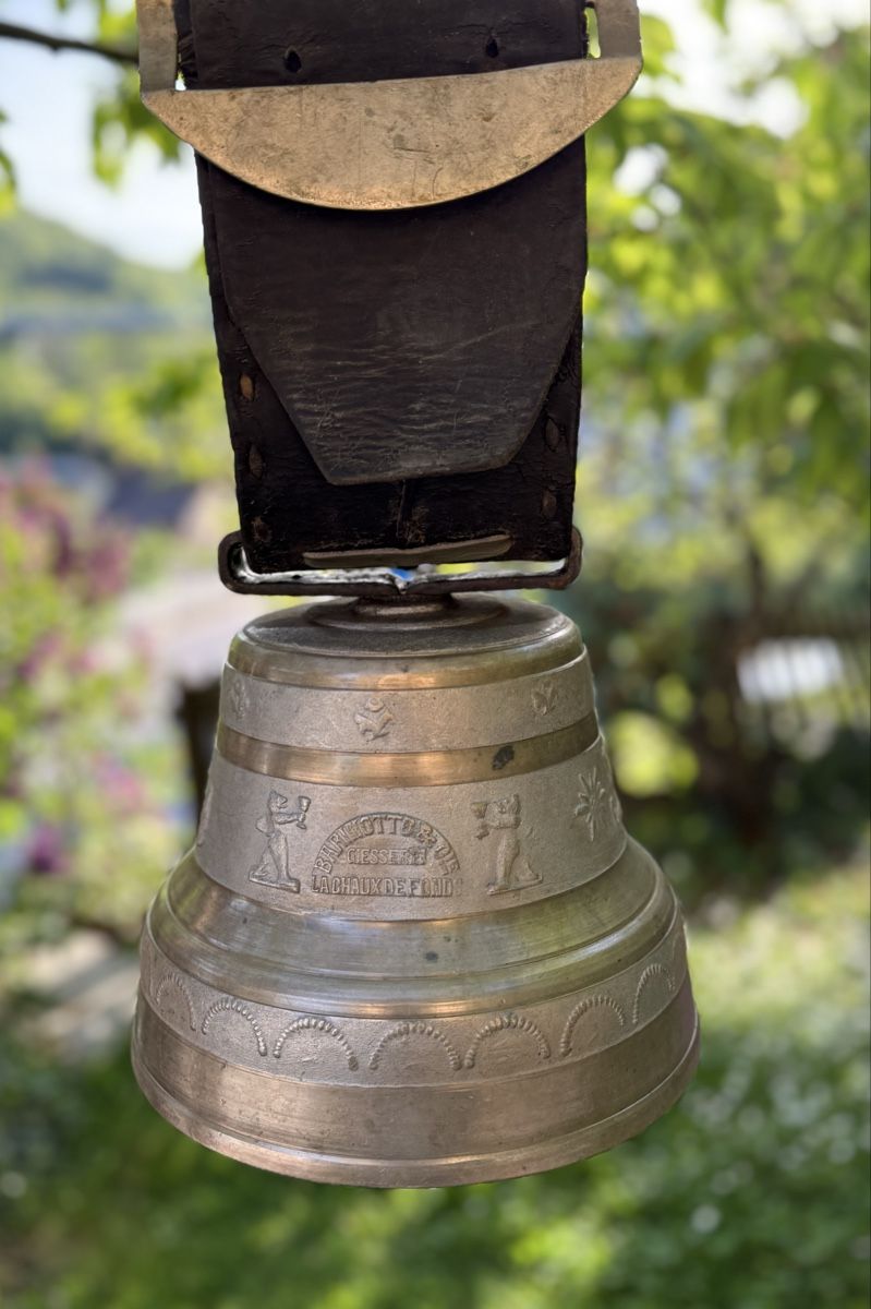 Campanacci mucche: Cloche de vache – Usato da Frinvillier venduto da Samsara77 4