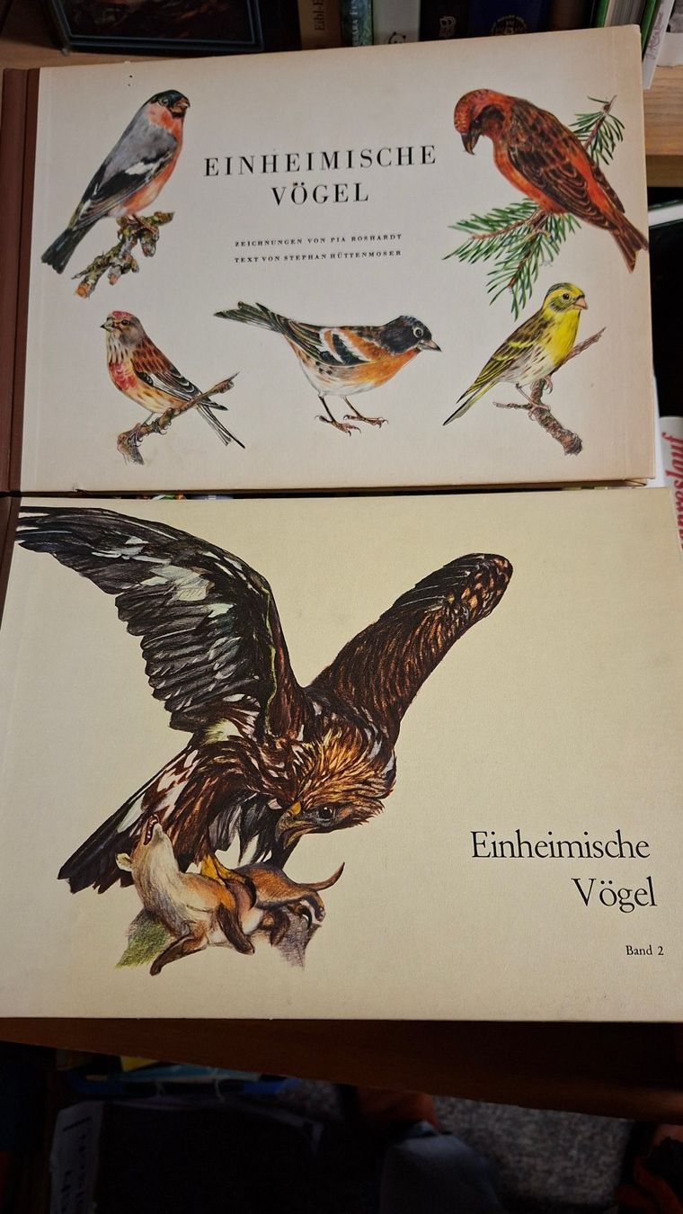 Libri: "Einheimische Vögel" 2 Bände – Usato da Dietikon venduto da Buchantiqdietikon