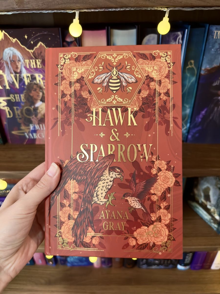 Bücher: FairyLoot Buch - Hawk & Sparrow – Neu (gemäss Beschreibung) aus Bern von moonlab 4