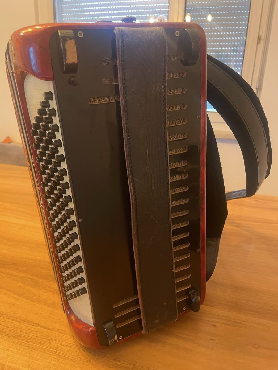 Hohner Instruments de musique: Hohner Accordina III – D'occasion à Altstätten SG par Nik2009 2