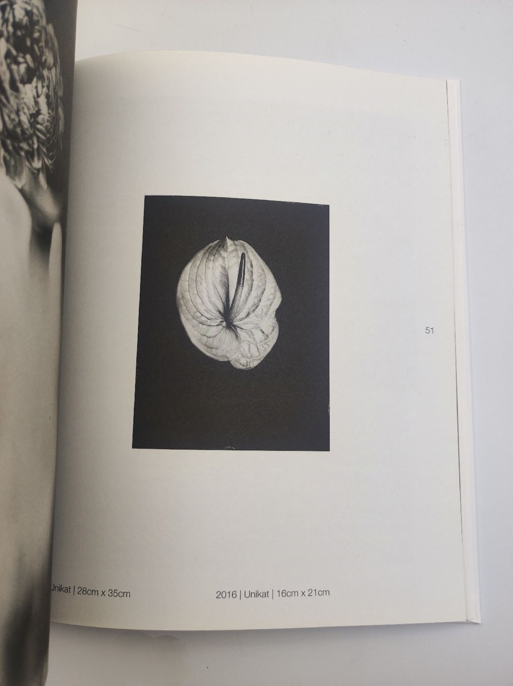 Libri: PHOTOBOOK - STEFFEN DIEMER – Nuovo (secondo la descrizione) da Goldach venduto da Gaip 7