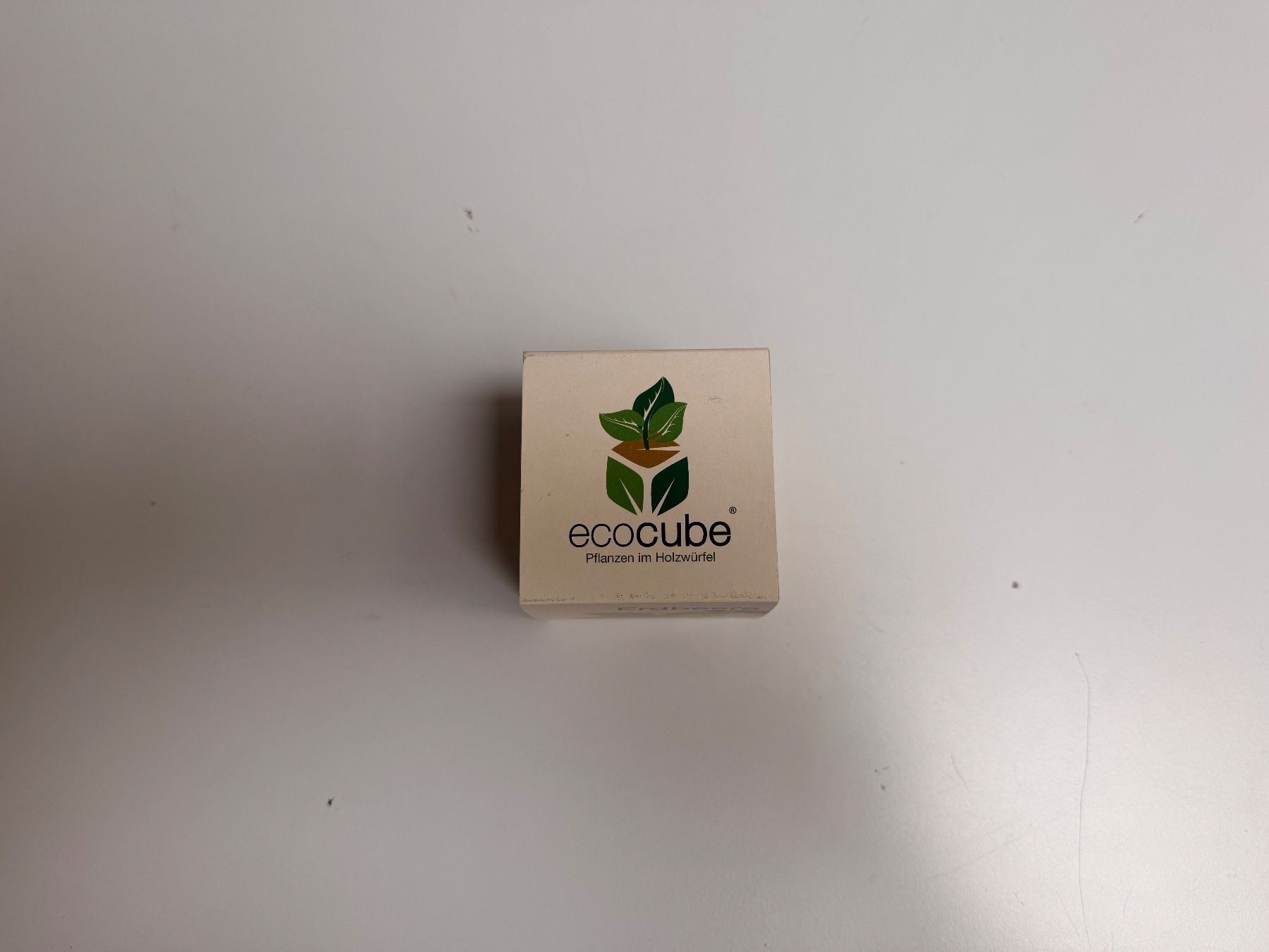 Piante & sementi: EcoCube Erdbeere Bio Saatgut neu – Nuovo e nell'imballaggio originale da Zug venduto da isdach