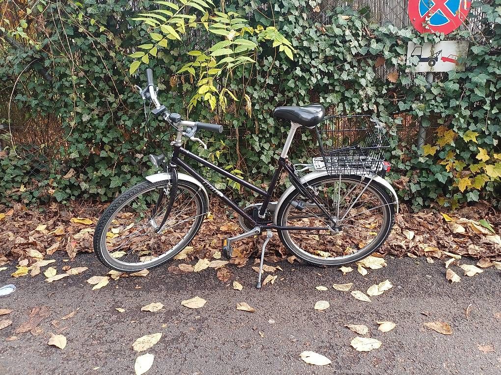 Vélos: Fahrrad – D'occasion à bern par Alex_Geisser