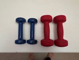 Hantel Set 4 Stück 1kg und 2kg blau rot gebraucht