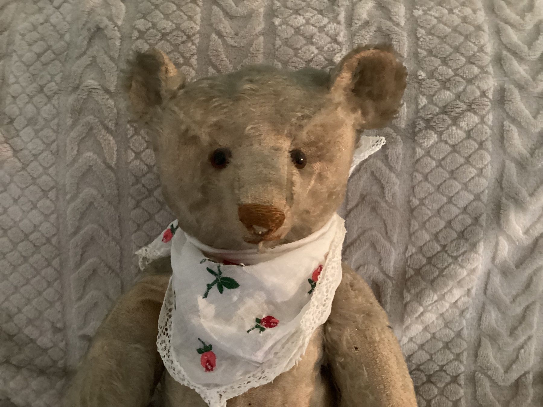 Steiff Jouets: ANTIKER STEIFF TEDDY VORKRIEG – D'occasion à Münchenstein par NoSu98 1