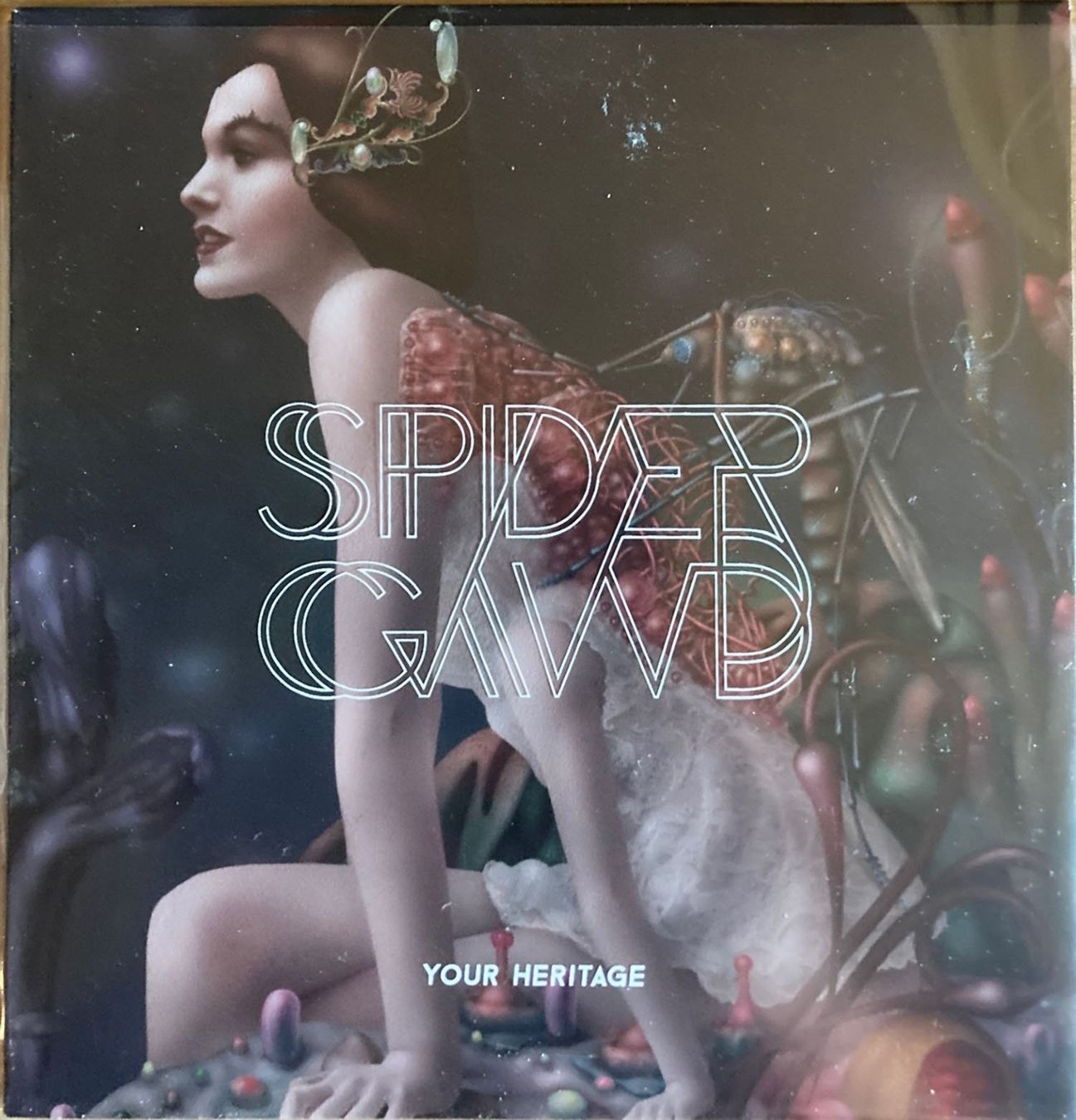 Dischi in vinile: 7" VINYL, SPIDERGAWD, YOUR HERITAGE – Nuovo (secondo la descrizione) da Unterseen venduto da andromeda55