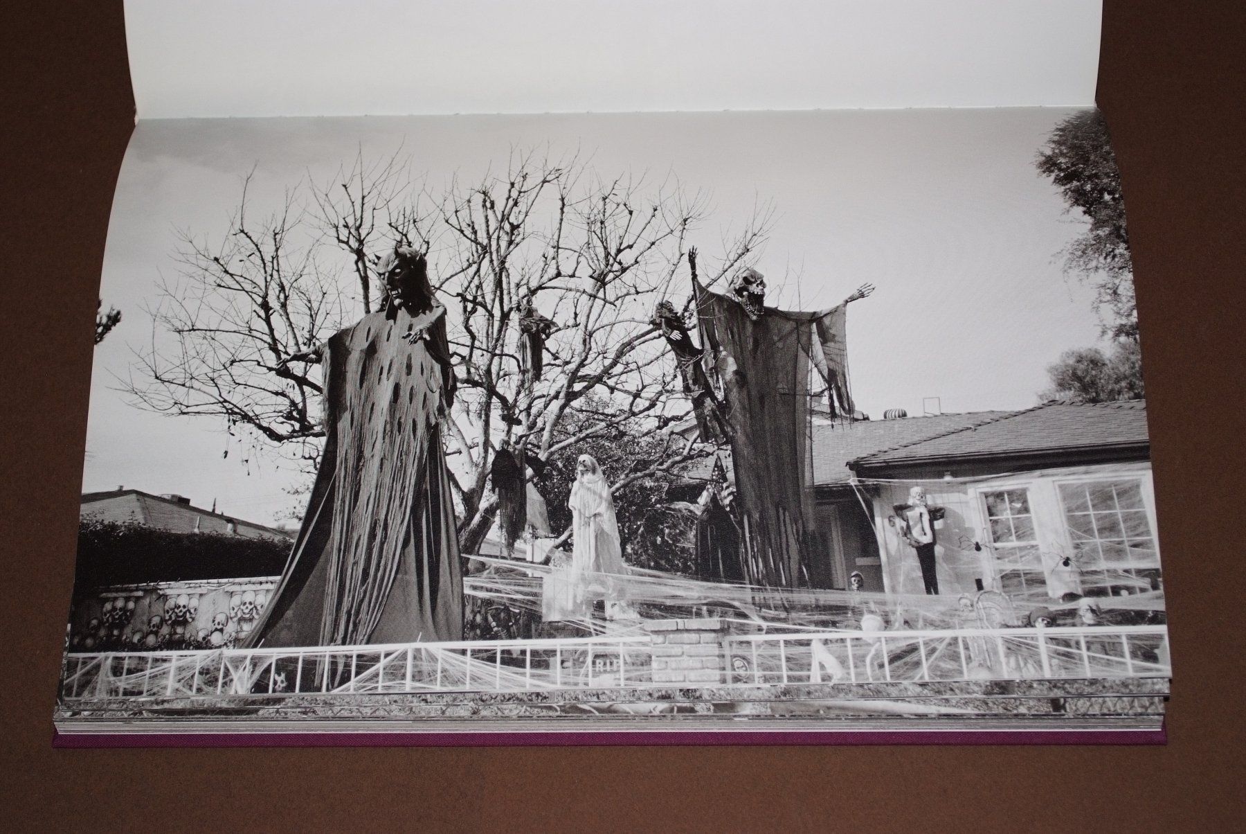 Libri: Cameron Jamie - Front Lawn Funerals #Horror #Halloween – Usato da Aarau venduto da Pearlz 3