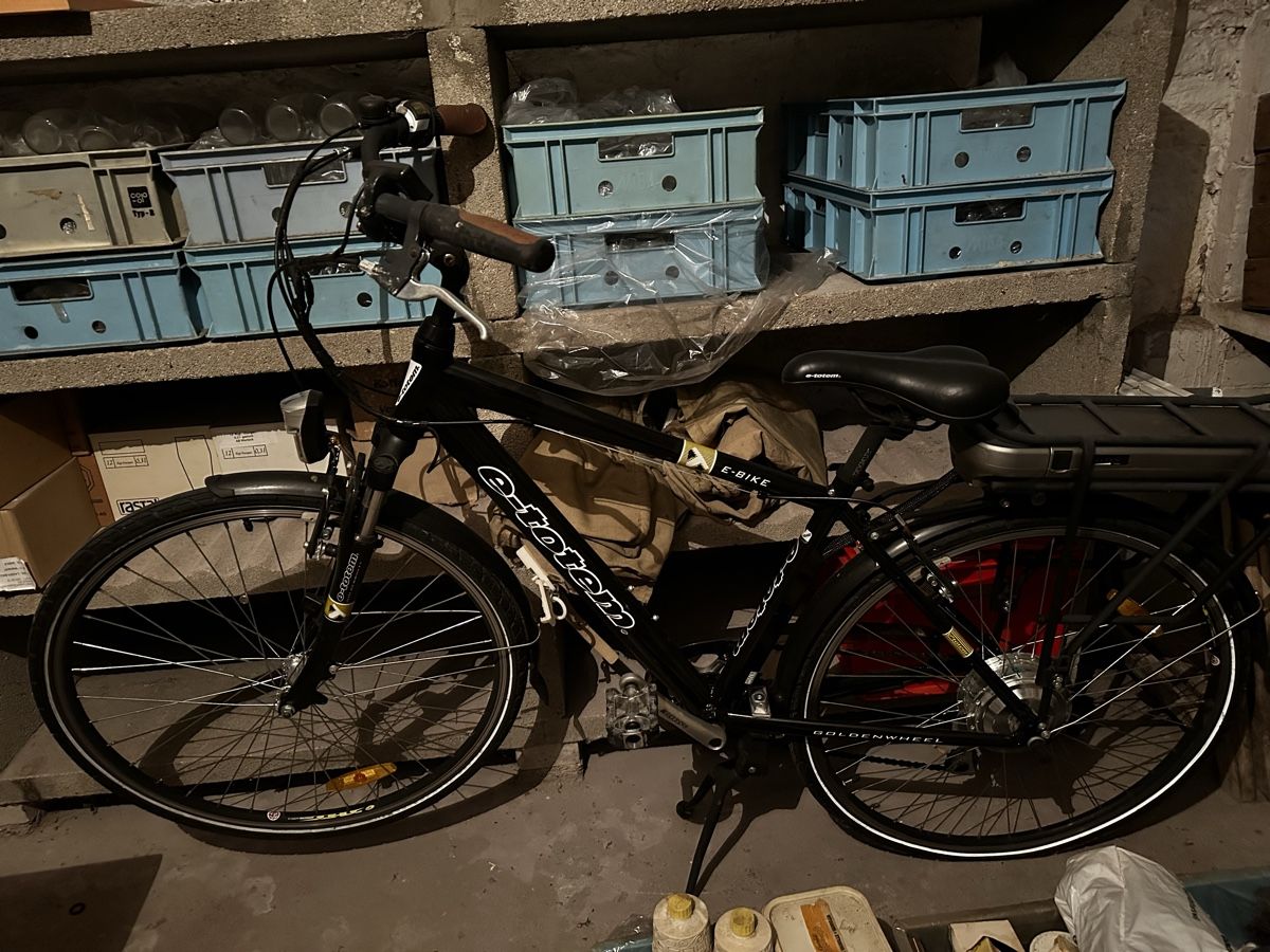 Biciclette: Elektrofahrrad für die Freizeit – Difettoso da Schötz venduto da Hapazi