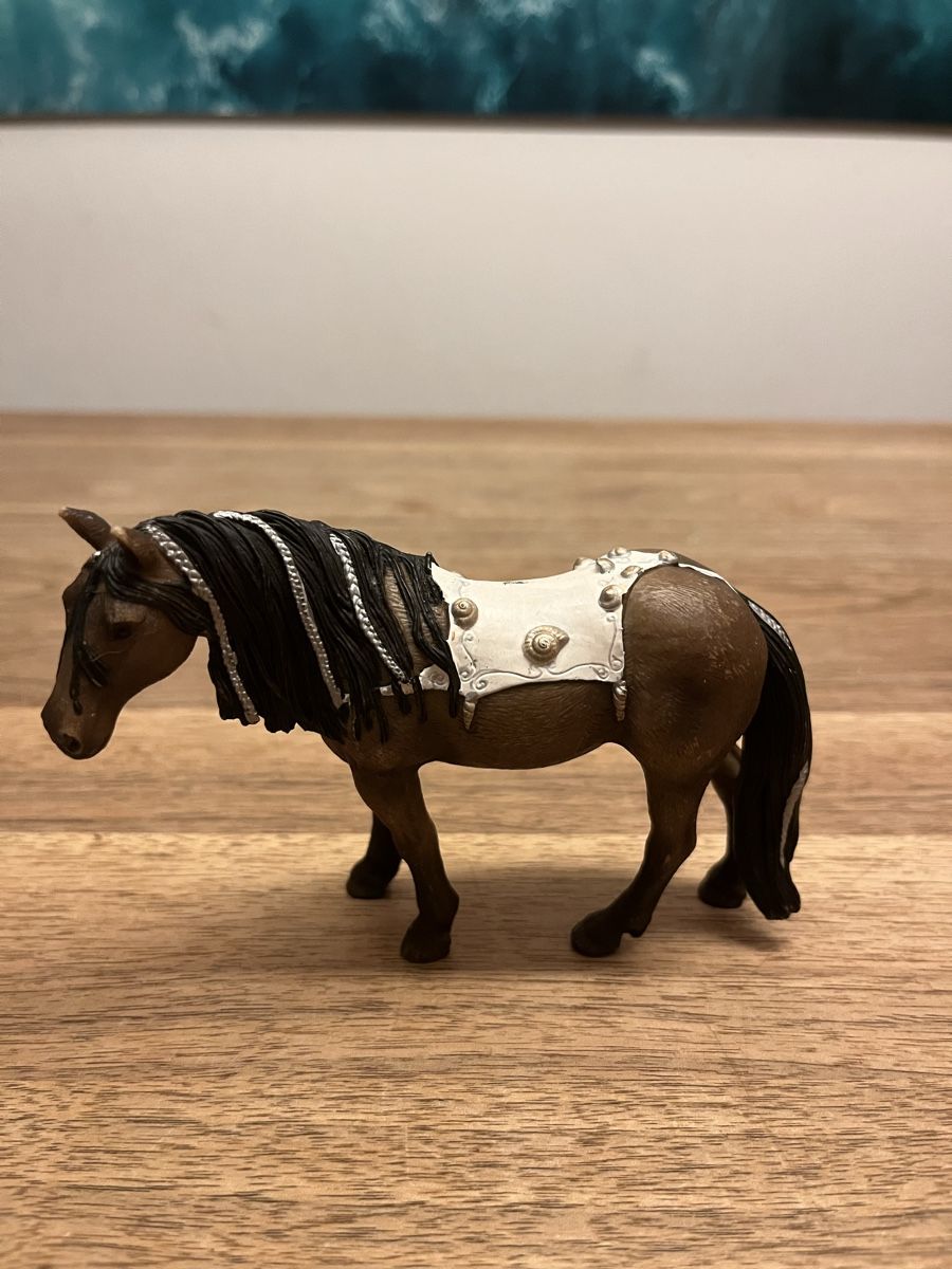 Schleich Giocattoli: Fantasieschleichset – Usato da Weesen venduto da D0101D 2