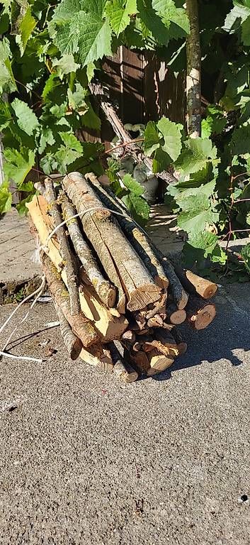 Articoli in legno: Brennholz - Böschelli – Nuovo e nell'imballaggio originale da Herisau venduto da Zwerg023 2