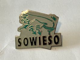 1 Pin Sowieso