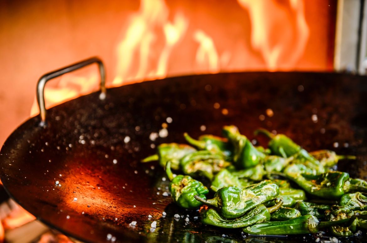 Grills: GRILLINOX Plancha Grill mit Glastüren, das BBQ Highlight – Neu und originalverpackt aus Zürich von Capricorn-Vertrieb 8