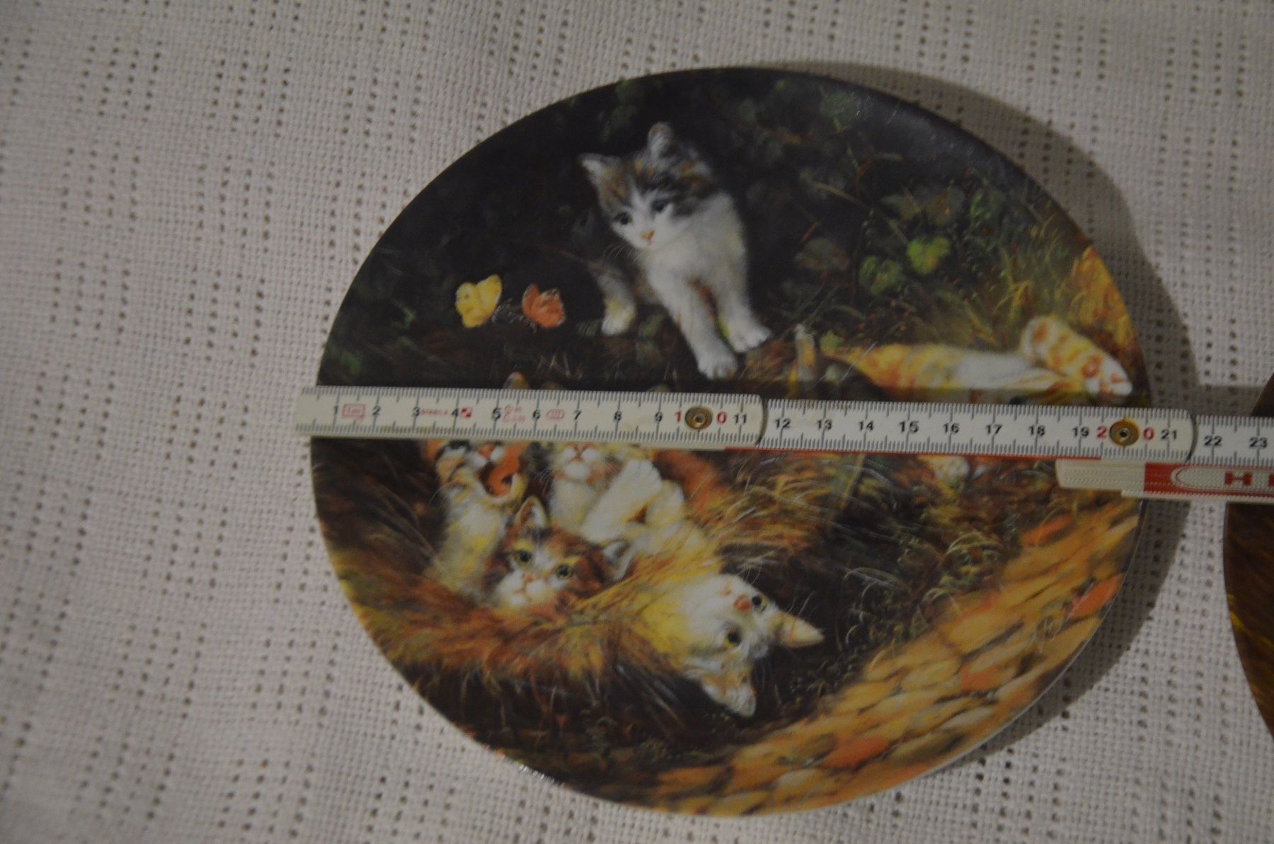 Piatti: TELLER KATZE – Usato da Chiasso venduto da Dolly015 1