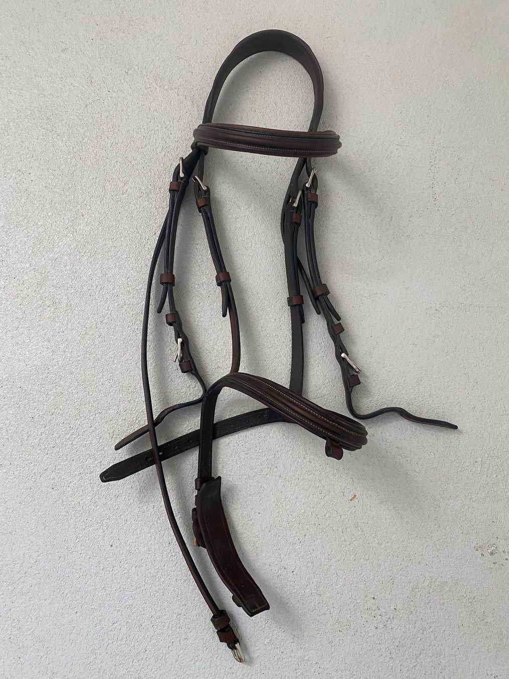 Briglie & Cavezze: Pessoa Zaum Braun Leder - Cob – Usato da Wohlen AG venduto da Robballantine