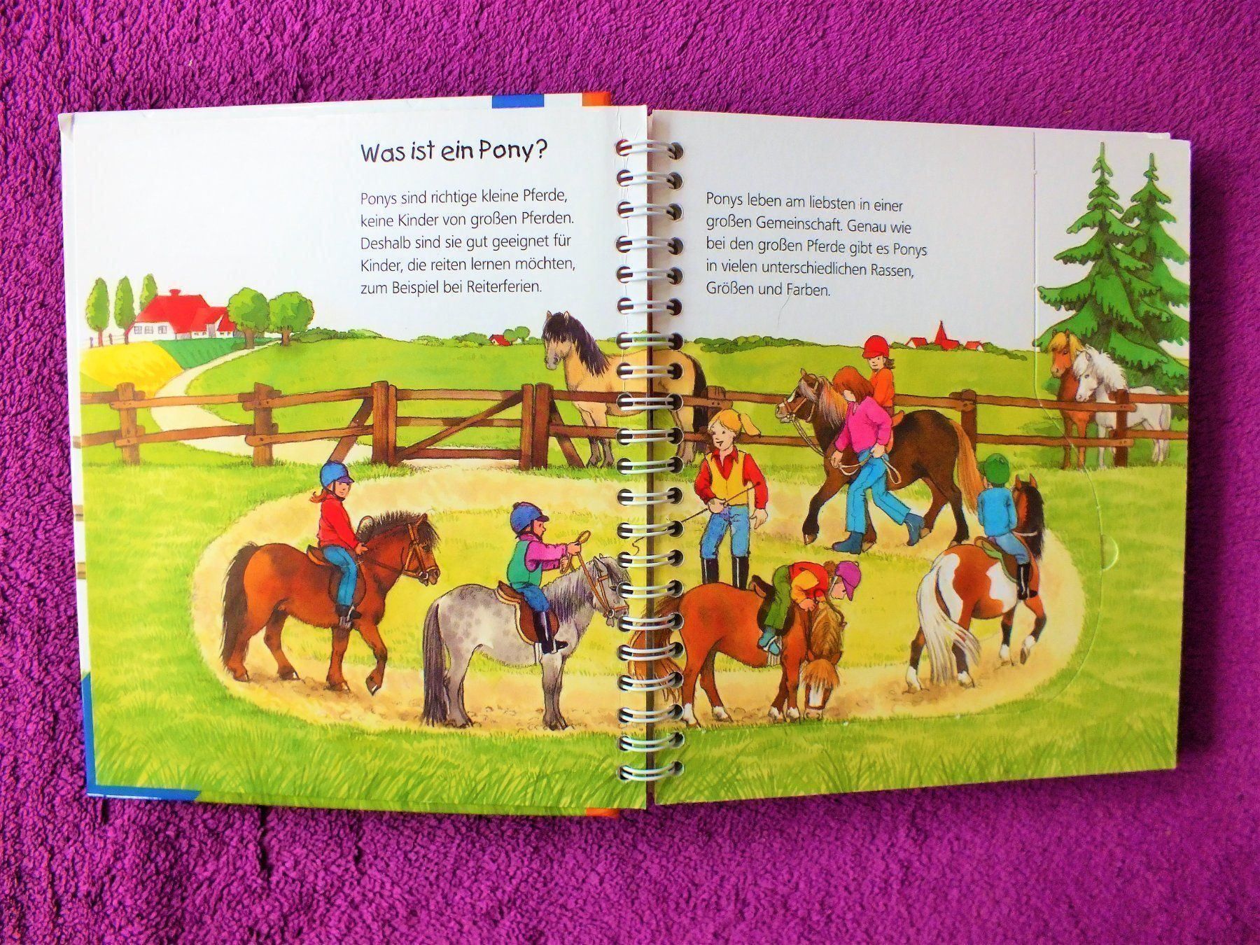 Libri: Wieso Weshalb Warum Junior - Das Pony – Usato da Müllheim Dorf venduto da Seeeule01 1