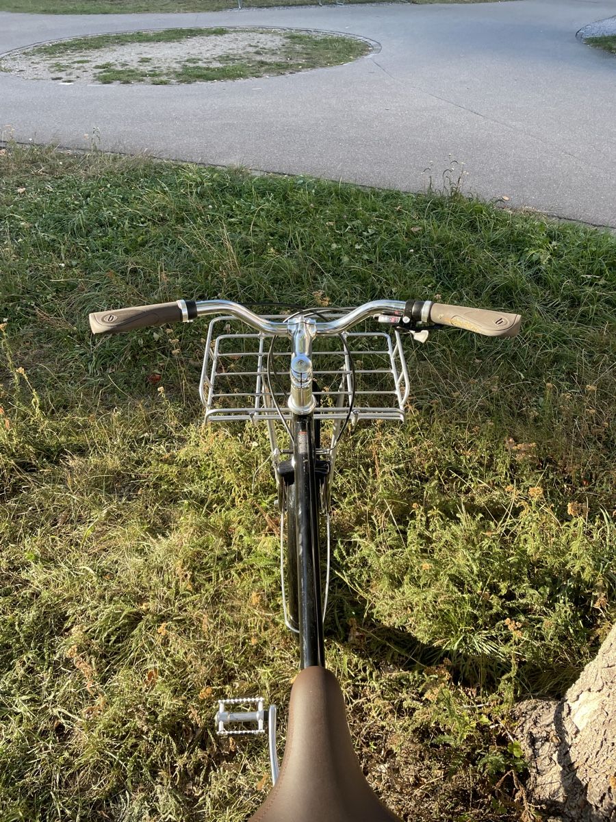 Biciclette: Fahrrad Benno – Usato da Zürich venduto da nik_927q 3
