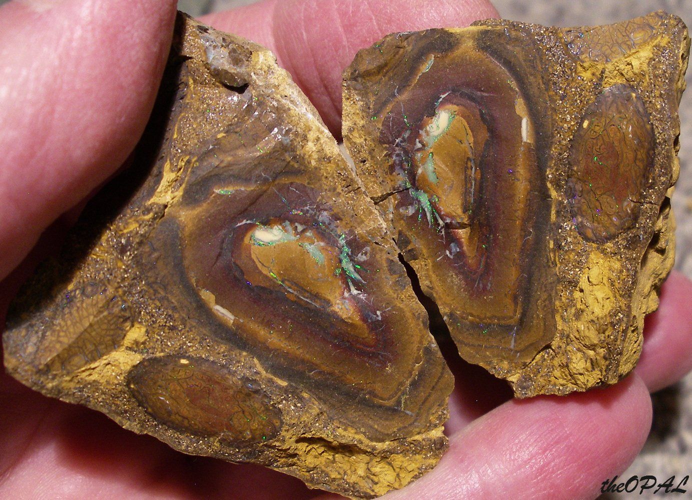 Minerali & Pietre curative: theOPAL*** ROHER BOULDER MATRIX NUSS OPAL SPLIT 750ct *** – Nuovo e nell'imballaggio originale da Ebnat-Kappel venduto da theOPAL 2