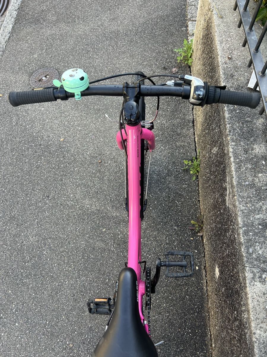 Naloo Biciclette: Naloo 24 Chameleon in pink – Usato da Basel venduto da Chris_4056 6
