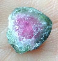 Petite tranche de tourmaline watermelon, melon d'eau gemme.