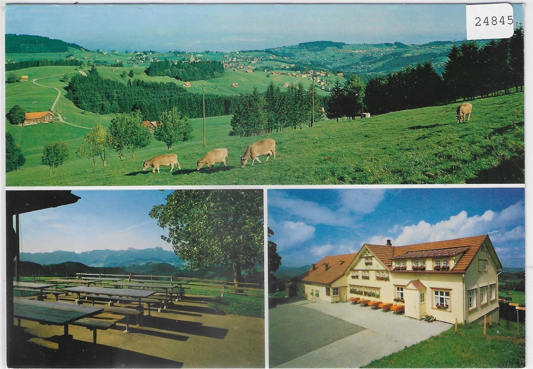 Cartoline postali: Gasthaus Hohe Buche - Bühler AR – Antico da Ettingen venduto da Kartenplanet