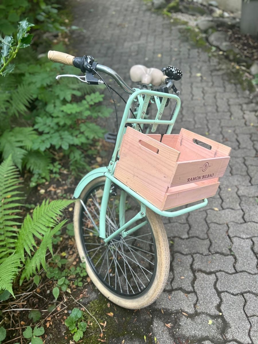 Velos: Schönes Retro Velo – Gebraucht aus Meilen von Monkey2010