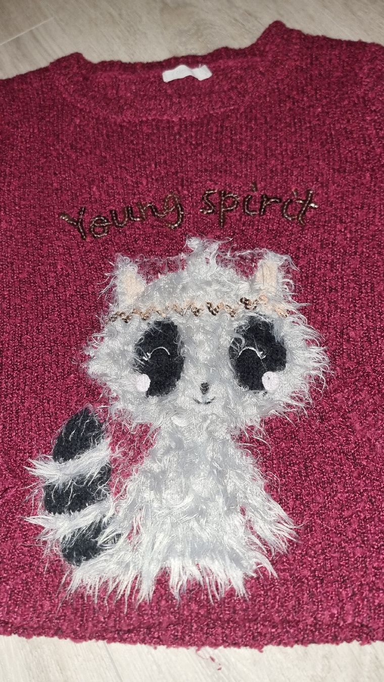 Pullover & Sweatshirts: Süsse Mädchenpulli Gr. 122/128 flauschig Waschbär Winter – Gebraucht aus Wigoltingen von Zuckerfee84 1