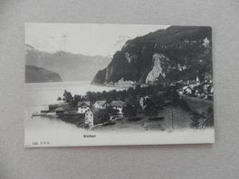 Ansichtskarte Sisikon Uri UR 1909