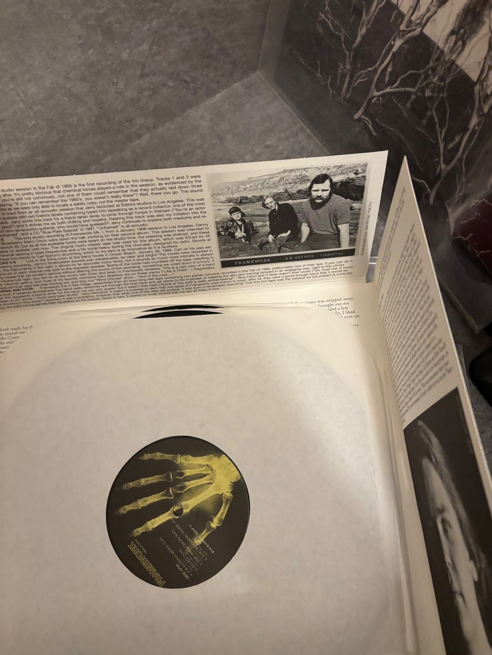 Dischi in vinile: Framework - Skeleton 1968-70 Blues psychedelic usa – Usato da Zürich venduto da manuunited 4