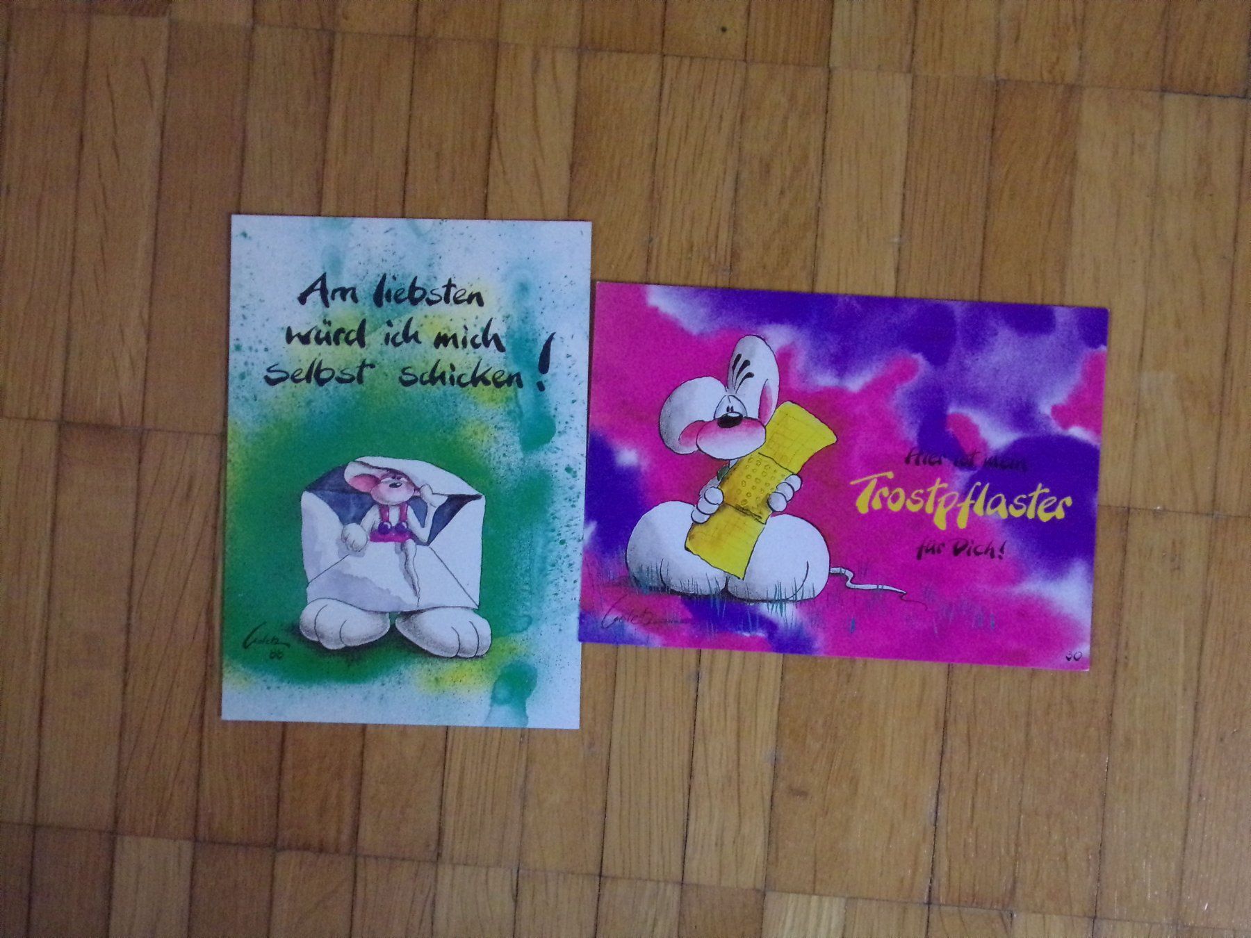 Cartoline postali: Diddl Postkarten  2 Stück     Set O19 – Usato da Winterthur venduto da Jessi_di