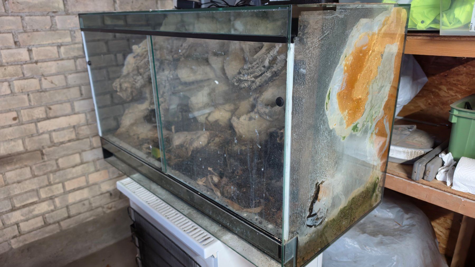 Terrario: Glasterrarium 100x50x60 – Usato da Bülach venduto da TheRealOli007 1