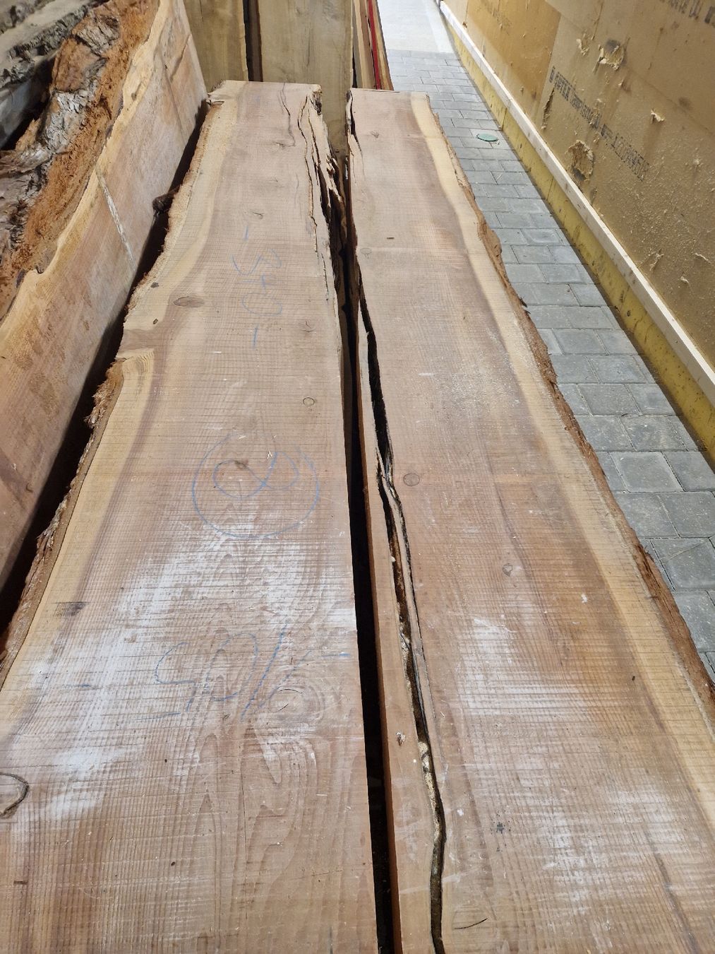 Articoli in legno: Klotzbretter CH Mammutbaum – Nuovo (secondo la descrizione) da Thun venduto da Thierry_Pfau 1