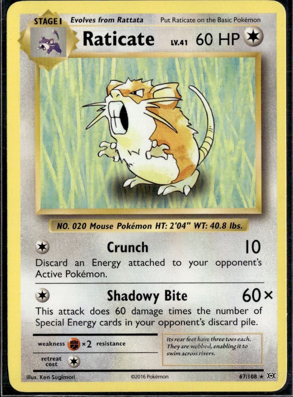Pokémon Carte collezionabili: Raticate 67/108 XY Evolutions – Usato da Zürich venduto da pokemon_cards