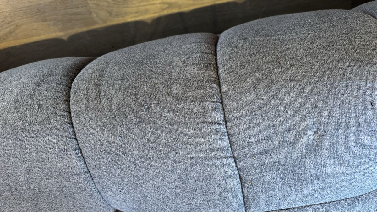Divani: Design Sofa grau stoff – Usato da Aeugst am Albis venduto da angsts 2