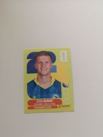 Panini BIH 14