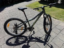 SCOTT Roxter 24 Kinder Mountainbike