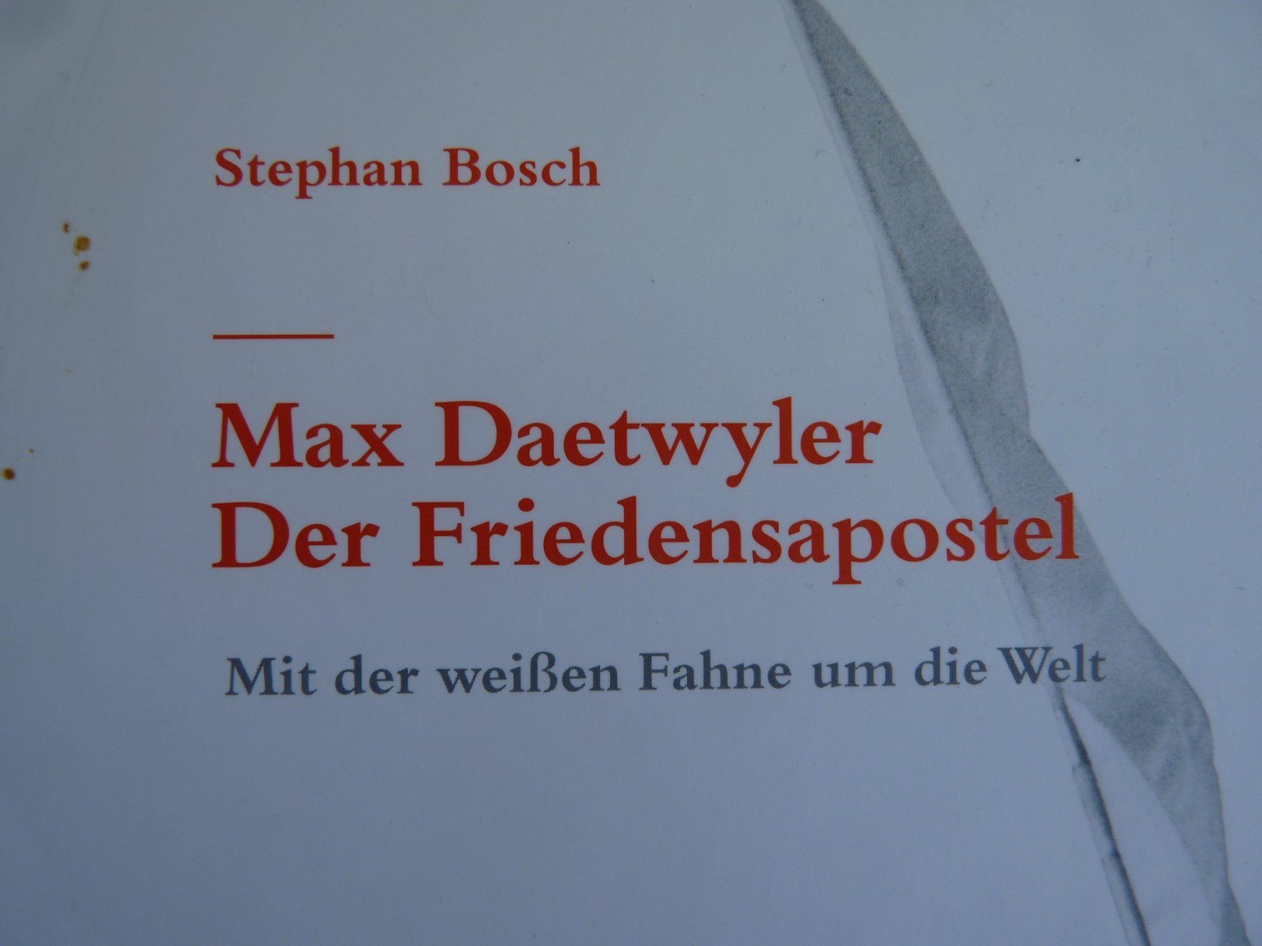 Libri: Buch "Max Daetwyler" 1. Auflage 2007 – Nuovo (secondo la descrizione) da Küsnacht ZH venduto da zoliboli01 1