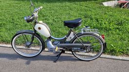 Pony Sachs junior
