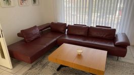 Premium Leder-Ecksofa von XXL Lutz (Ewald Schillig) – Top 
