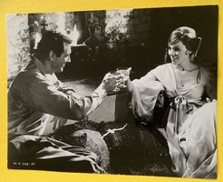 Foto 1970 Rock Hudson & Julie Andrews