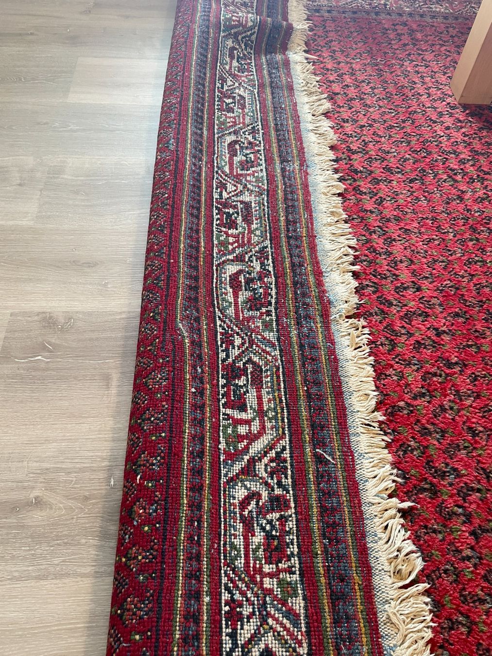 Tappeti: Teppich 246 x 355cm – Usato da Schmerikon venduto da die_8b8m 6