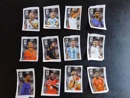 Alles 12 Panini Cola Sticker 2026